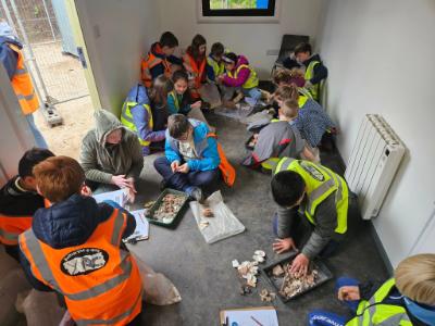 Excavation at Woodvale